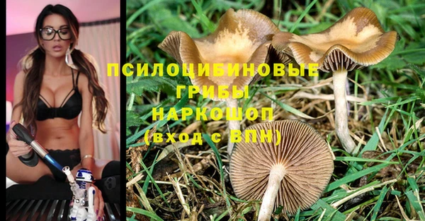 mix Алексеевка